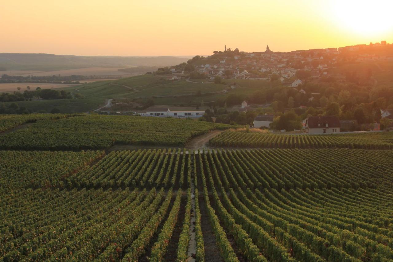 Lodge De La Vigneronne Châtillon-sur-Marne Buitenkant foto