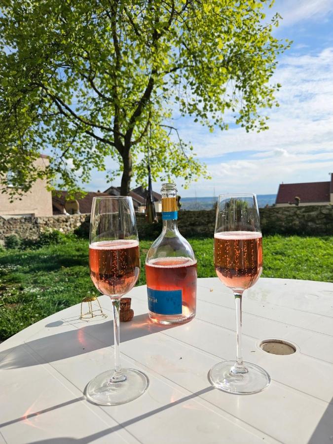Lodge De La Vigneronne Châtillon-sur-Marne Buitenkant foto