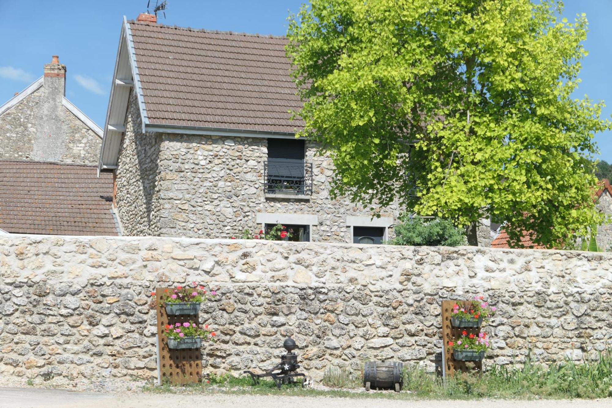 Lodge De La Vigneronne Châtillon-sur-Marne Buitenkant foto